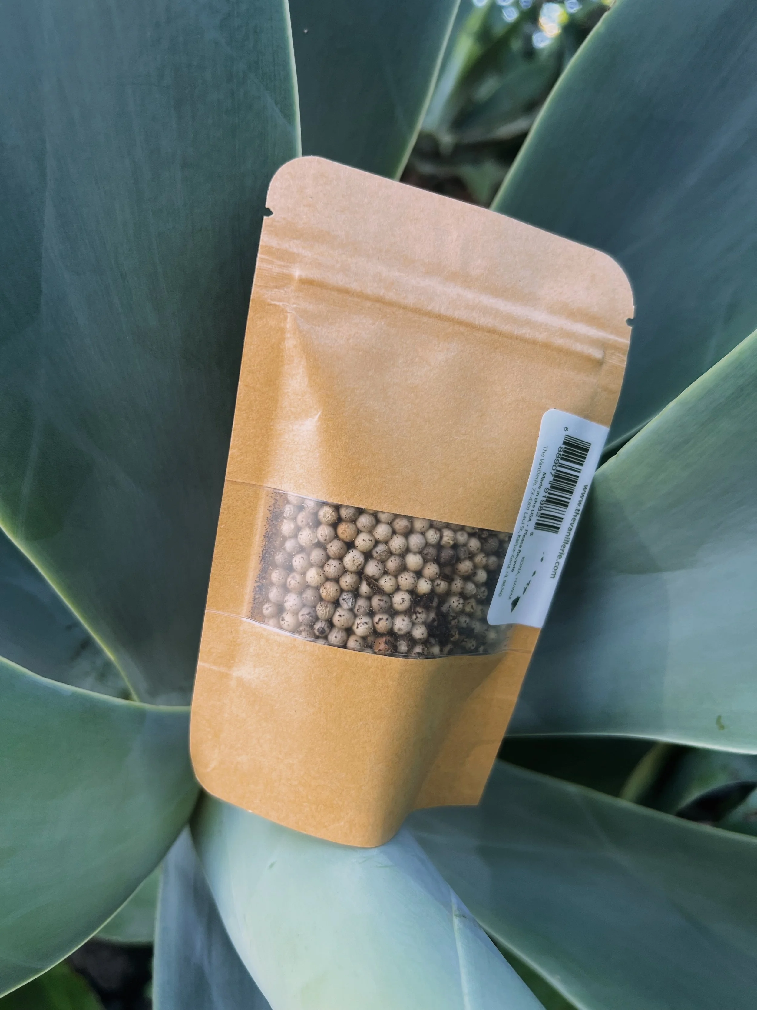 white pepper refills.JPG