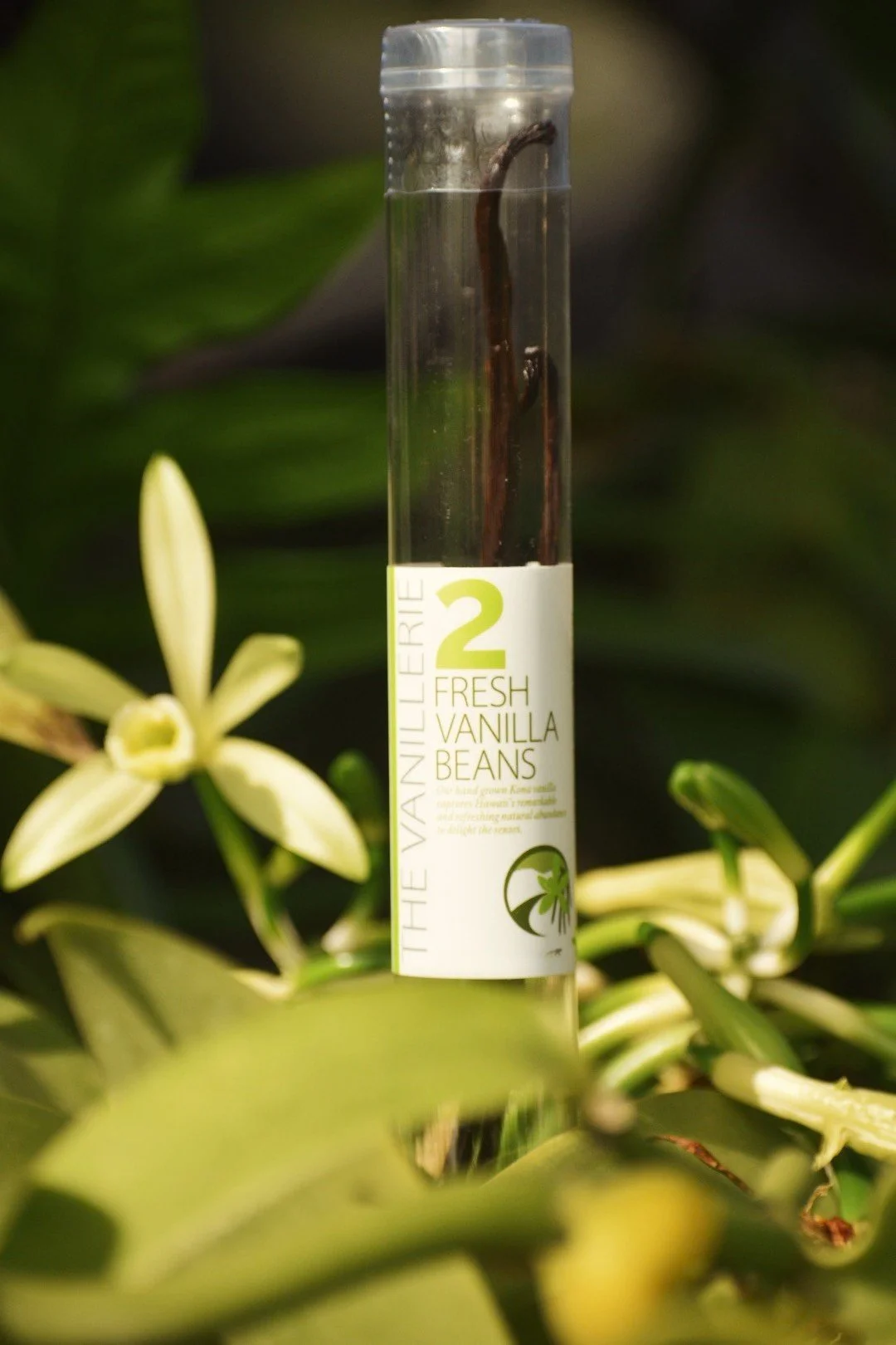 8149F329-04C7-4688-A124-849D1C4129C7 - Edited.jpg