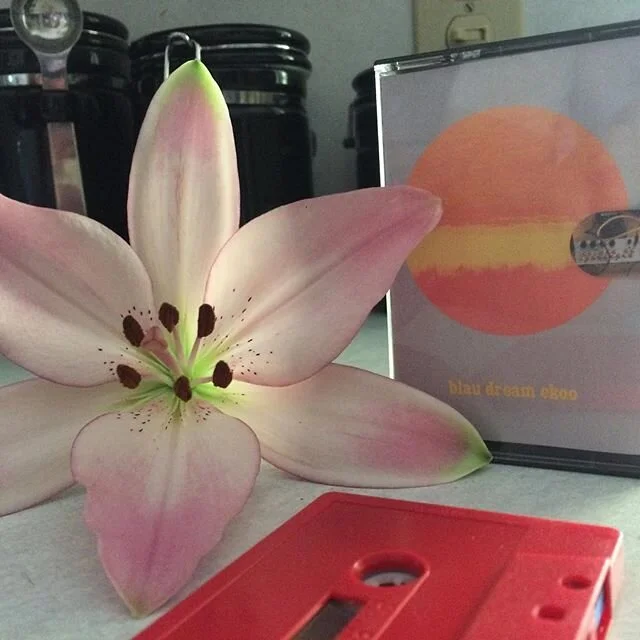 Recent IP additions not to be ignored...
https://illuminatedpaths.bandcamp.com/album/blau-dream-ekoo
https://illuminatedpaths.bandcamp.com/album/93-105
https://illuminatedpaths.bandcamp.com/album/remote-viewing-ep
Put up a handful of these old favs. Grab one to add to your collection, if you haven&rsquo;t already. They are and have always been hot!...
https://illuminatedpaths.bandcamp.com/album/palm-haze
https://illuminatedpaths.bandcamp.com/album/late-night-delight-remastered
Speaking of... coming just in time to quench your mid-summer beach day thirst, one of IPs most popular albums will see its first ever vinyl release! Limited to 100 colored and sealed copies, with exclusive vinyl audio mixdown just for this version! It&rsquo;s a secret for now. 🤫 So Keep yer earholes/eyeballs open/peeled. 😉