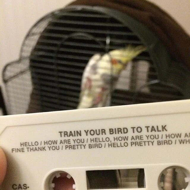 Comin&rsquo; atcha all the way liiive... Illuminated Paths newness!!! 😱😱😱
New double album by LENT and a secret moniker. Amazing...
https://illuminatedpaths.bandcamp.com/album/entries-udo-split-album
Truly a demonstration in vaporwave journeys from KOZO. Deeper ones...
https://illuminatedpaths.bandcamp.com/album/kozo-com
🤩