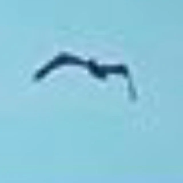 Who are Lyles Wrigley and Vinyl Graphics?... 🤔
https://illuminatedpaths.bandcamp.com/album/candy-soul-run-with-the-blunted-ep-prosumer-based-interface-double-album-split