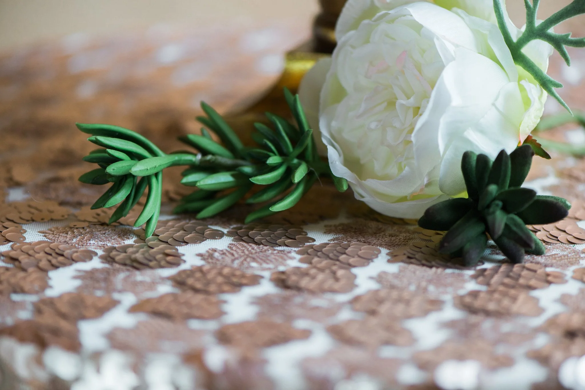 styled_shoot-6.jpg
