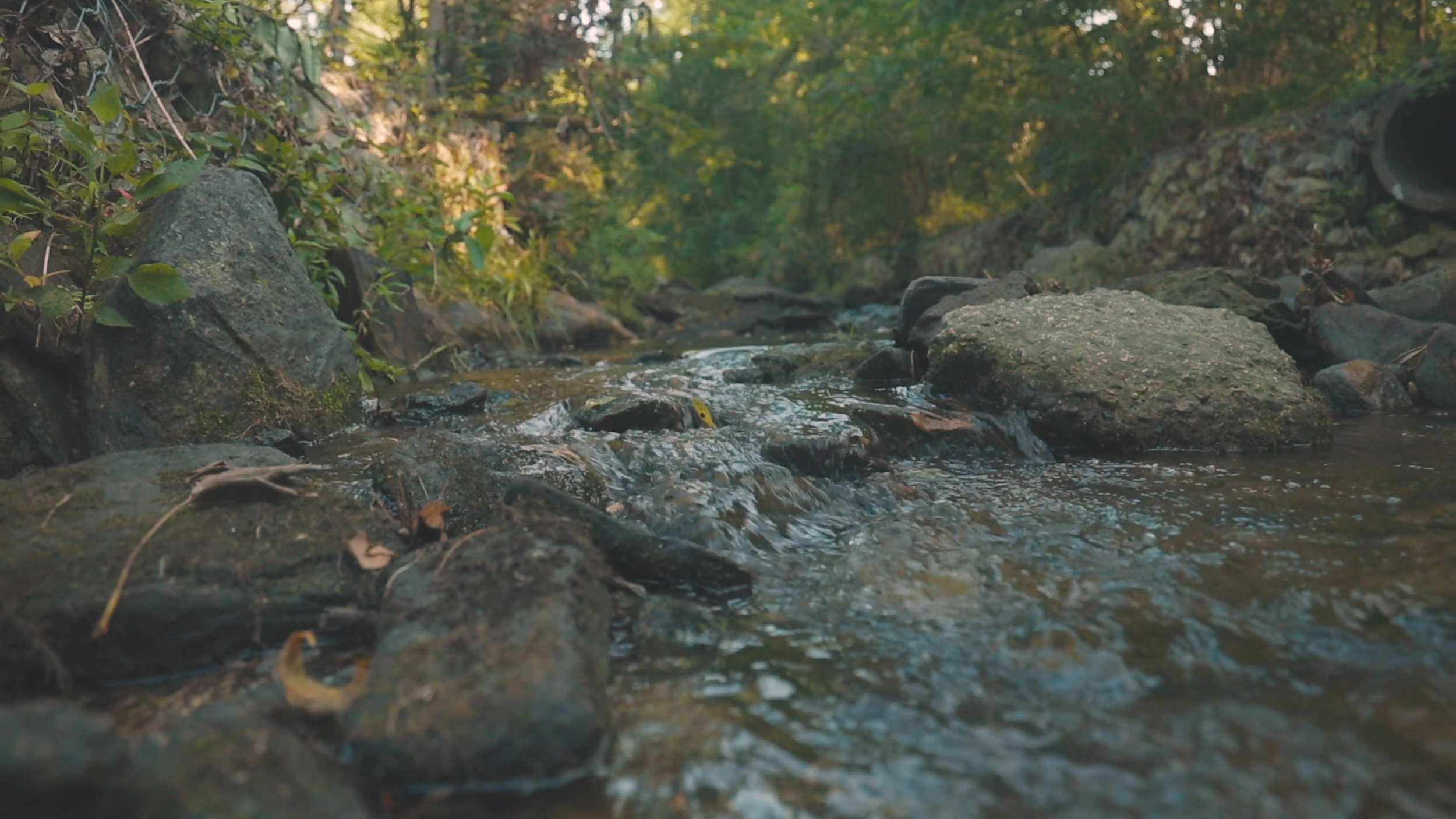 River.png