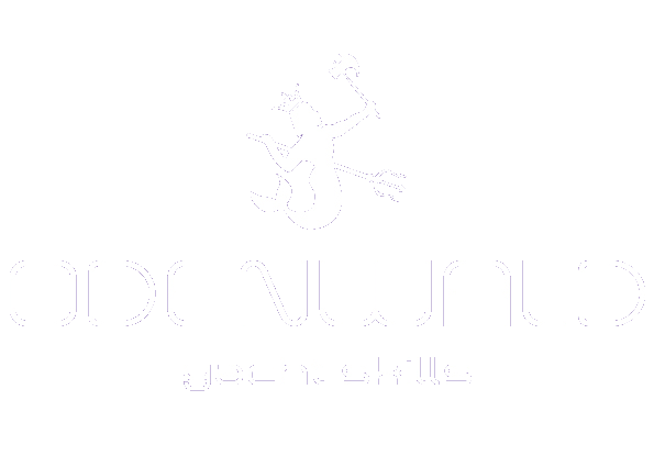  Jendrik Odenwald – Yacht Survey &amp; Claims