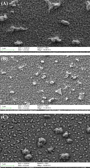 Figure 1. SEM images of Pt–Au NMA products in varying ratios. (a) 1:1 (b) 1:2 and (c) 1:3. SE2 represents the signal making up of secondary electrons generated from backscattered electrons. EHT (extra high tension) voltage; WD and Mag; working distance and magnification respectively.