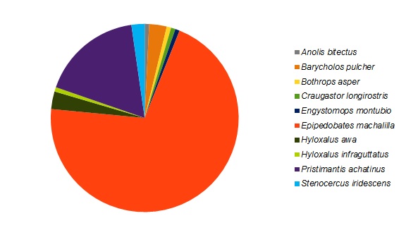 Figure 3. The species composition for the reptiles and amphibians detected in a section of primary forest in the Jama-Coaque Ecological Reserve in coastal Ecuador.