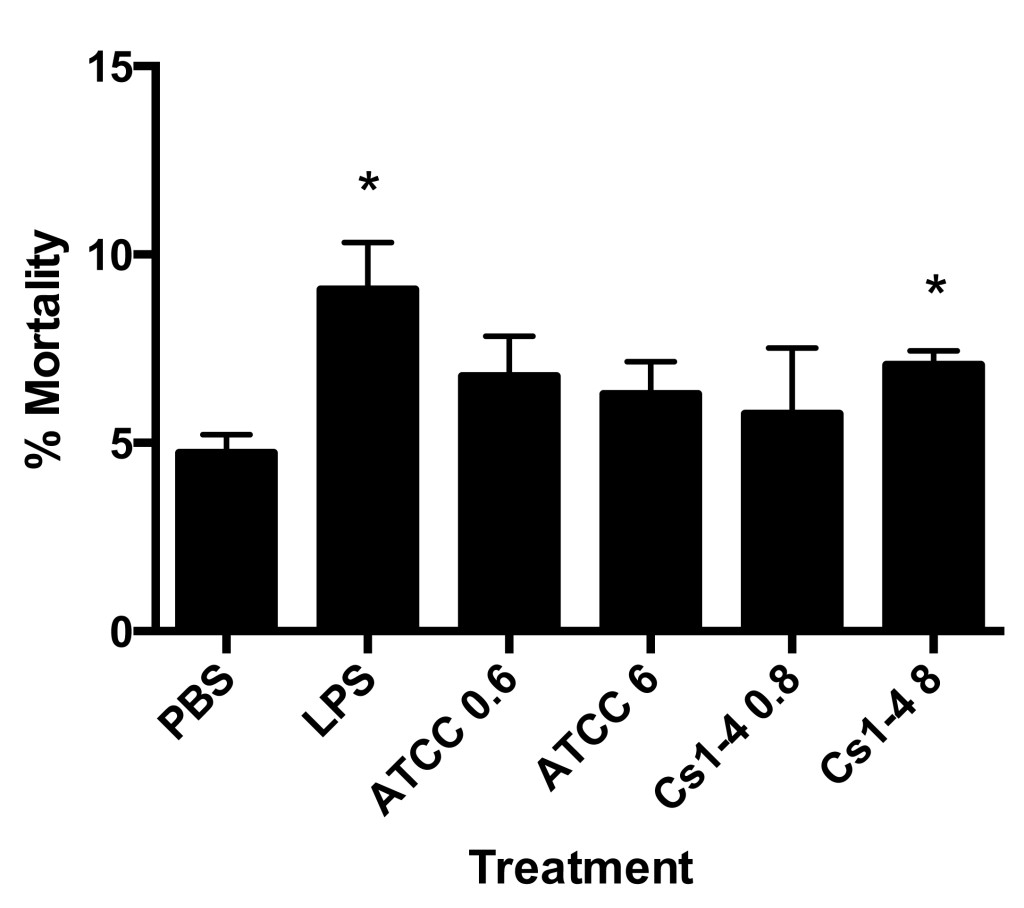 Figure 1. Stimulation of THP-1 monocytes with Delftia sp. Cs1-4 (MOI of 8.0) resulted in significantly increased mortality. Percent mortality was determined by automated trypan blue exclusion. Significance ( p < .05) relative to the PBS group is denoted by an asterisk (*). Data is representative of four independent experiments.
