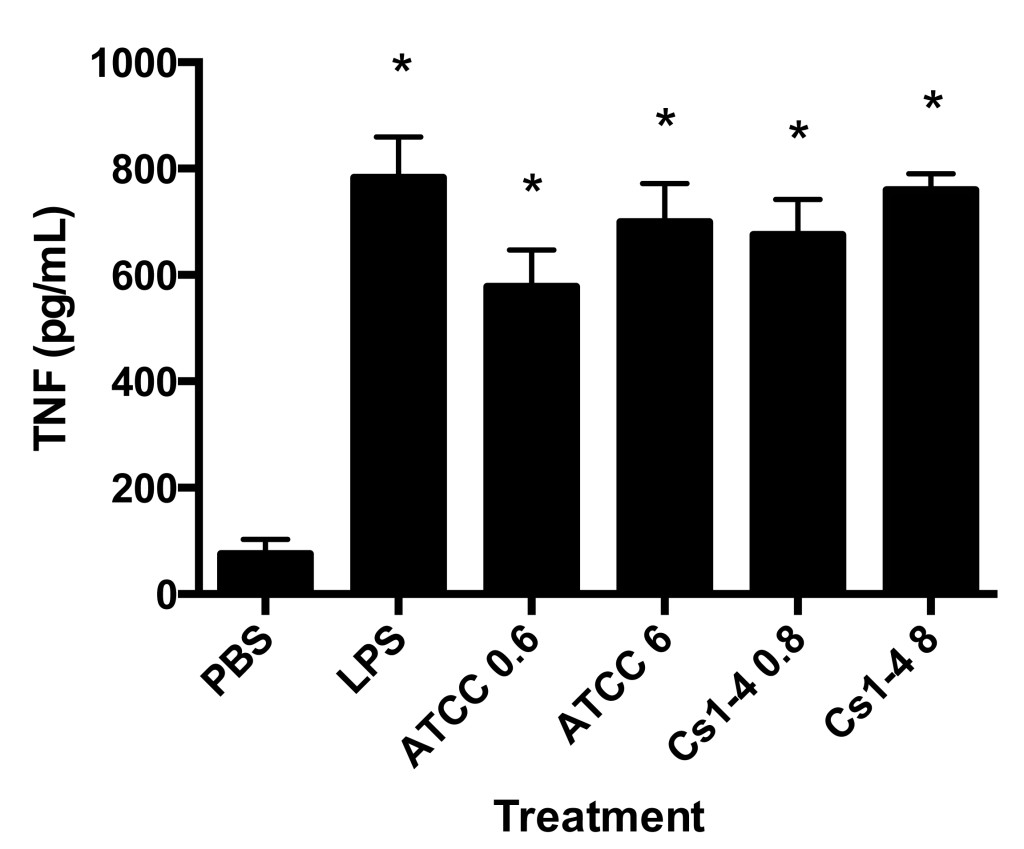 Figure 4. THP-1 monocytes stimulated with both strains of Delftia spp. had significantly increased TNF protein production. TNF protein production (pg/mL) in culture supernatants was measured by ELISA. Significance ( p < .05) relative to the PBS group is denoted by an asterisk (*). Data is representative of four independent experiments.