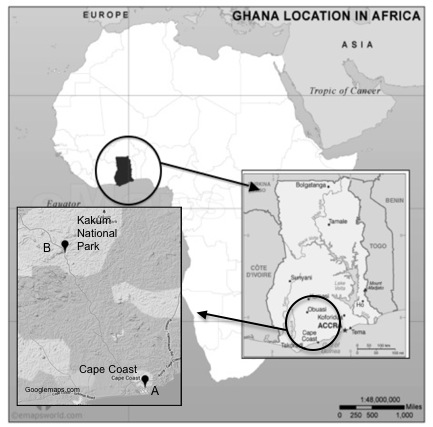 Figure 1. Map of Ghana showing the location of Cape Coast in the Central Region.
