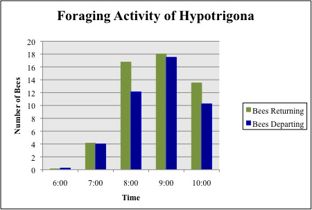 Figure 3. Mean number of returning and departing bees from the four colonies for a two-day period