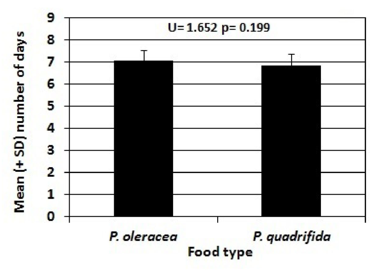 Figure 5: Mean Number of Days from Pupa to Adult of Danaid Eggfly larvae fed Portulaca oleracea versus Portulaca quadrifida (± s.d.). Individuals reared on P. oleracea spent an average of 7.05 ±0.39 days as pupae, while individuals reared on P. quadrifida spent an average of 6.85 ±0.58 days as pupae. It was determined that the difference in time spent as pupae between the two populations was not statistically significant (p=0.199).