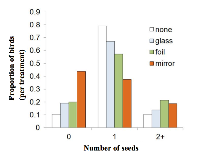 Figure 3. Effect of feeder attachment (none, glass, foil, or mirror mounted on a feeder) on mean number of seeds handled by Black- capped chickadees. The feeders were set up with no object, glass, foil, or mirror. Each bar shows the proportion of chickadees that took the given number of seeds. The proportions were calculated individually on data within each treatment.