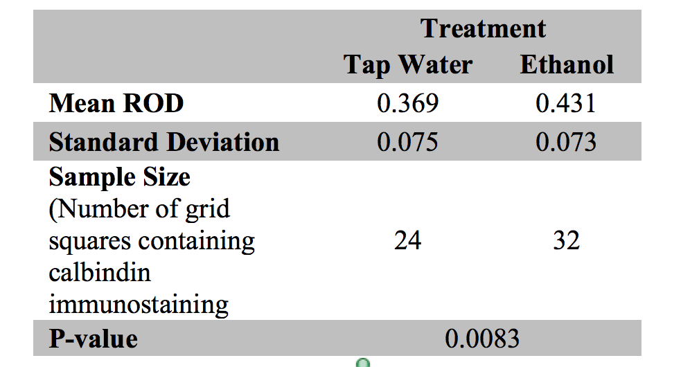 Table 1: Mean relative optical density (ROD), standard deviation (SD), sample size, and p-value of calbindin immunostaining of P0 mouse cerebella exposed to tap water and ethanol from each litter. Table of mean relative optical density (ROD), standard deviation, sample size, and p-value for each of the four calbindin immunostained P0 mouse cerebella observed. The ImageJ software program quantifies the light intensity of pixels along a continuum from 0 to 1. Darker pixels are represented by lower values with 0 representing the darkest intensity. The ROD of each grid square was calculated using the values extracted from ImageJ. The intensity of the calbindin immunostaining was determined based on the assumption that the darker the intensity of the stain, the greater the calbindin protein expression.