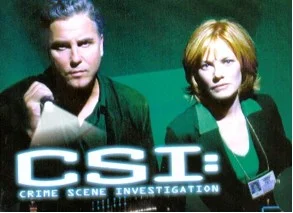 Investigating the Truth Behind CSI