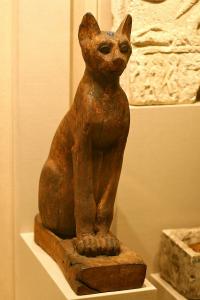 cat.jpeg