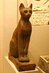 Our Furry Friends: the History of Animal Domestication