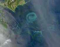 Figure 2 Plankton Bloom Near Hokkaido, Japan Credit: NASA image by Norman Kuring MODIS Ocean Color Team http://earthobservatory.nasa.gov/IOTD/view.php?id=38917
