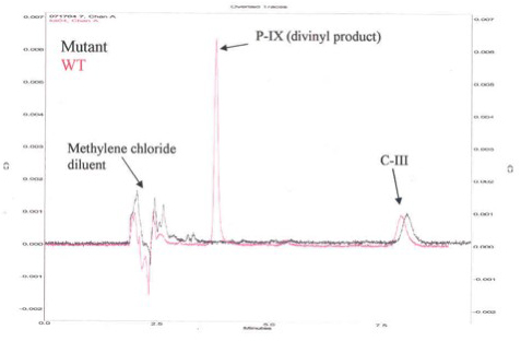 Figure 2. HPLC Chromatogram for Activity of Human Recombinant 6x-His-Tag Copro'gen Oxidase and Representative Mutant Copro'gen Oxidase Enzyme.