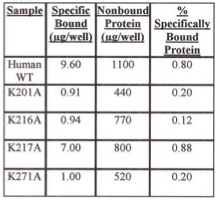 Table 2. Evaluation of Specifically Bound Protein to iLAP Plates. Specifically Bound Protein using E. coli Cells Grown at Room Temperature.