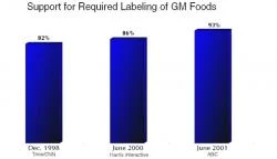 Figure 3. Recent public opinion concerning mandatory labeling of genetically modified foods. From 1998 to 2001, there was an 11% increase in public support for mandatory labeling. This steady increase demonstrates a growing public concern and consumer desire to know what types of food are being purchased and eaten. (Source: Americans & The World: Public Opinions on International Affairs)