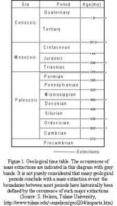 article_486_order_2