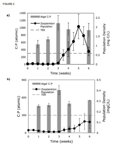 Figure 2. This figure shows the relationship between the increase in zooplankton population and the algal C:P in a) high light and b) low light treatments. Data for algal C:P was lost in week 5 due to chemical reagent contamination.