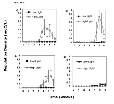 Figure 4. Changes in Daphnia populations over the course of the experiment: a) D. lumholtzi alone b) D. lumholtzi in competition c) D. pulex alone d) D. pulex in competition.