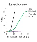 Title: Effect of anti-IgE Antibodies on Free IgE levels Caption: Anti-IgE antibodies greatly reduce the amount of free IgE molecules that can bind Fc receptors on tissue mast cells Reference: Milgrom et al. 1999