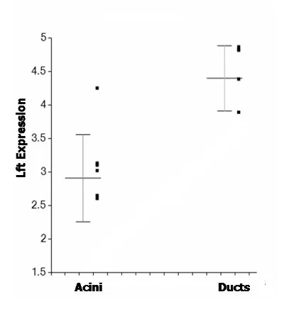Figure 3. Increased expression of Ro/SSA antigen (Trim 21) in ducts as compared to acini irrespective of disease state. Gene expression is expressed as log2 compared to reference standard. The difference between ducts and acini is significant (p=0.0006).