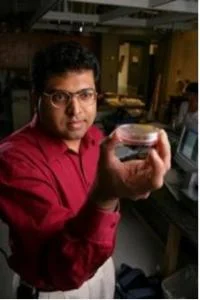 Figure 1. Prasad Shastri holding a petri dish containing bone cells. Photo courtesy Daniel Dubois.