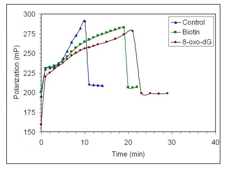 Figure 3. Competitive binding assay. DNA alone (triangles), DNA + 2 uM biotin (squares), DNA + 3 uM 8-oxo-dG (circles). Data were collected at 23C, in the presence of buffer (10 mM sodium phosphate, pH 7.4, 0.1 M NaCl ). The concentration of damaged, native DNA and avidin-FITC were approximately 2 pM and 5 nM, respectively. The data shown and TmaxP values represent one trial out of three independent trials. TmaxP values: DNA alone = 10 min; DNA + biotin = 19 min, and DNA + 8-oxo-dG = 21 min. Average TmaxP values: DNA alone = 10 + 1 min, DNA + biotin = 20 + 3 min, DNA + 8-oxo-dG = 20 + 2 min.