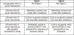 Table 1. Growth of NB107 and NB122 in different concentrations of vancomycin.