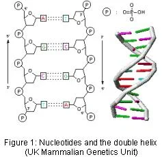 article_490_order_0