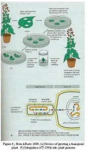 article_484_order_3
