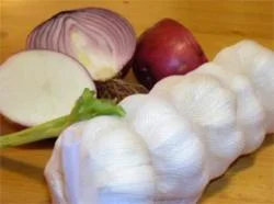 Figure 3. Garlic and onion have powerful antimicrobial properties and grow in every country that was sampled in the study by Sherman and Billings. (Courtesy Stock.XCHNG).