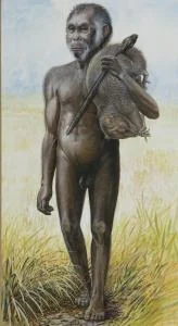 An artistic rendering of Homo floresiensis. Courtesy of artist Peter Schouten and the National Geographic Society.