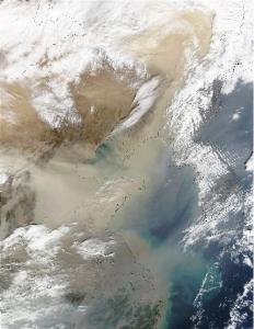 Figure 4. A satellite image of a dust storm over China and Korea. The grey areas show pollution, which may help make the iron in the dust more available to plankton and increase their growth. Image courtesy: NASA.