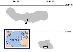Figure 2. Map of the oriental group of the Azores Archipelago showing sampling sites at (1) Agua dAlto (Sao Miguel Island) and (2) Praia Formosa (Santa Maria Island).