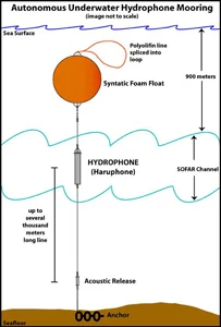 An independent "sonobuoy" developed by the National Oceanic and Atmospheric Administration.