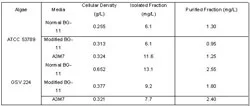 Table 2. Effect of media on cellular density and cryptophycin density. This chart compares the amount cellular growth, the isolated fraction and total purified amount of cryptophycin from ATCC 53789 and GSV 224 grown in Normal BG-11, Modified BG-11 and A3M7 media.