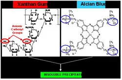Figure 2. Molecular structures of anionic xanthan gum and cationic alcian blue.