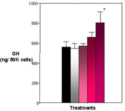 Figure 4. Effects of E2 and Heptachlor on Pituitary GH Content. Both the 10 nM and 100 nM treatment appear to harbor more GH within the pituitary cells with the 100 nM treatment being the most significant. Black = control; White = 100 nM E2; Light Pink - 1 nM Heptachlor; Pink = 10 nM Heptachlor; Dark pink = 100 nM Heptachlor; *p