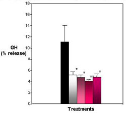 Figure 5. Effects of E2 and Heptachlor on GH Release. Percent release is determined by comparing the GH released into media to the GH measured in the cell content. E2 and heptachlor suppress the release of GH. Black = control; White = 100 nM E2; Light Pink - 1 nM Heptachlor; Pink = 10 nM Heptachlor; Dark pink = 100 nM Heptachlor; *p