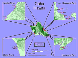 Figure 1. ArcView map of Oahu, Hawaii illustrating sample sites at Kaneohe Bay, Kahe point, Hanauma bay, and North shore.. The CD markings indicate individual sample sites. Lea Hollingsworth at HIMB created this map.