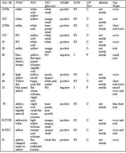 Table 2. Bacteriological tests on bacterial isolates from shrimp aquaculture as quality control. TCBS, YDC and TZC are differential growth media. Gram stain and KOH tests were used to differentiate cell morphology. In the KOH test, bacterial isolates either lysed and released a string of DNA (S) or did not lyse (NS). O/F test was used to differentiate between organisms that have oxidative or fermentative metabolism. Organisms were determined to be motile or not-motile. Organism shape was assessed under a light-microscope.