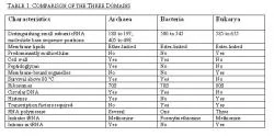Table 1: Comparison of the distinguishing cellular and molecular properties of the archaeal, bacterial, and eukaryotic domains.