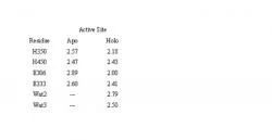 article_1255_order_5