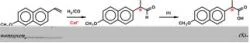 Figure 2: Steps of the Hydroformylation Reaction for (S)-naproxen