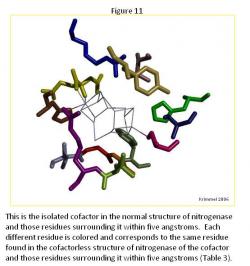 article_1118_order_8