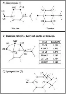 A Computational Investigation of a Biologically Relevant Rearrangement ...